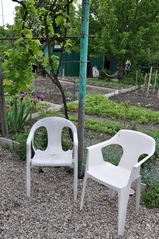 Cliquez sur la vignette pour l'agrandir